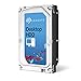 Seagate 3TB Desktop HDD SATA 6Gb/s 64MB Cache 3.5-Inch Internal Bare Drive (ST3000DM001)