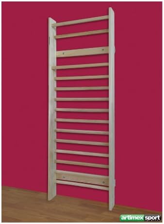 Wall Bar for Home Fitness / Strength / Rehab, Model 221