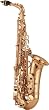Yanagisawa A-901 Artist Alto Saxophone