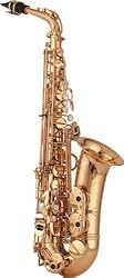 Yanagisawa A-901 Artist Alto Saxophone