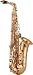 Yanagisawa A-901 Artist Alto Saxophone