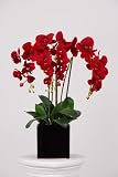 flower arranging tips