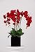 House of Silk Flowers Triple-stem Silk Phalaenopsis Orchid Arrangement Red