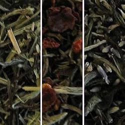 white tea blend collection