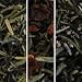 white tea blend collection
