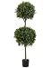 4' Double Ball-shaped Boxwood Topiary in Plastic Pot Two Tone Green