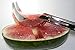 Watermelon Slicer Corer Server Stainless Steel Melon Slicer, Perfect Easy Quick Cutter By Depot Globe