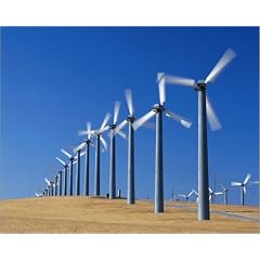 Poster 50 x 40 cm - "Windr�der in Livermore" von Brent Winebrenner / Lonely Planet Images - auch in anderen Gr��en und als Leinwandbild erh�ltlich