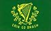 Suchen : Fahne / Flagge Irland - Erin go Bragh NEU 90 x 150 cm
