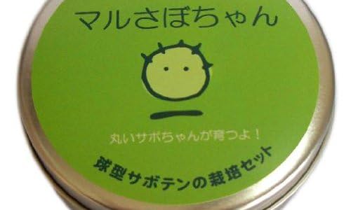 【日記】プロジェクトマネージャの試験対策開始しました【参考書】 41w4FIIurrL. SX500 CR0,96,500,300 【日記】プロジェクトマネージャの試験対策開始しました【参考書】