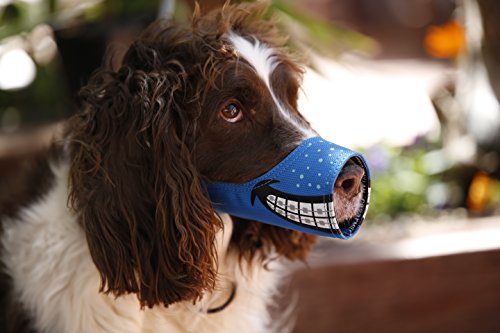 Cesar Millan Funny Muzzle, Nerd, Size 3, Blue
