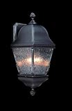 Framburg 9585 Iron Iron Coeur de Lion Collecion Tropical / Safari Outdoor Wall Sconces from the Coeu