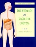 The stomach and digestive system