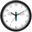 Teal Body & White Winged Dragonfly or Dragon Fly - JP Wall Clock by WatchBuddy Timepieces (White Frame)