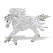 Safari Pegasus