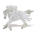 Safari Pegasus