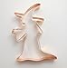 Big Wicked Witch Halloween Cookie Cutter