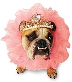 Toys : Costumes For All Occasions PM858002 Zelda Queen Pet Large
