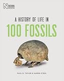 A history of life in 100 fossils