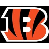 NFL Follow Your Team: Bengals Season 2009