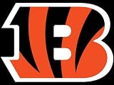 NFL Follow Your Team: Bengals Season 2009