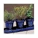 French Herb Garden Trio with Organic Soil Pellets