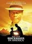 The Last Brickmaker In America