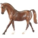 Dapple Chestnut Thoroughbred