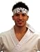 Karate Kid Mr Miyagi Daniel Movie Headband