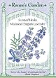 Munstead English Lavender Seeds