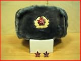 Hat Russian Soviet Army Air force Fur Military Ushanka * xm.h.GR
