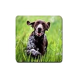 German Shorthaired Pointer Rubber Square Coaster (4 pack)