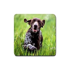 German Shorthaired Pointer Rubber Square Coaster (4 pack) by Good Guy Watches & Accessories