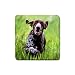 German Shorthaired Pointer Rubber Square Coaster (4 pack)