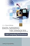 Data mining techniques in grid computing environments