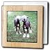 Dogs Chinese Crested Hairless - Chinese Crested Hairless - Tile Napkin Holders