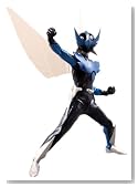 Real Action Heroes �E�C���O�}�� Ver.2.0 DX TYPE�̃C���[�W���g�傷��