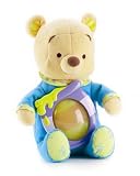 Winnie The Pooh Hunny-Bunch Pooh