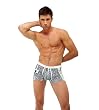 Mens Sexy Bandana Biker Cut Swimwear 3G by Gregg Homme