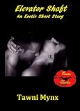 Elevator Shaft - An Erotic Short Story