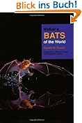 Walkers Bats