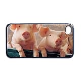 Pigs Apple iPhone 4 or 4s Case / Cover Verizon or At&T Phone Great Gift Idea