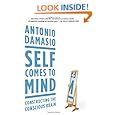 Self Comes to Mind: Constructing the Conscious Brain