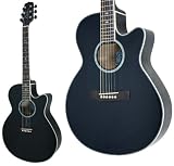 TAKAMINE Cooder TCP-480/BK/�����Z�b�g�t�� �G���A�R�M�^�[