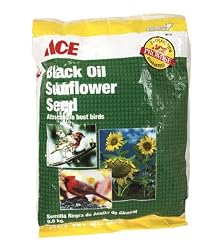 ACE BLACK OIL SUNFLOWER SEED