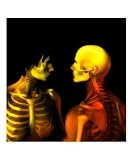 Bone Couple 5 Holidays Photographic Poster Print by Harveys Art, 16x20