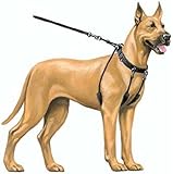 YUP! Pet Halter, X-Large, Blue