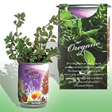 The Patent Magic Herb- Oregano