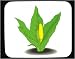 Skunk Cabbage Decorated Mouse Pad