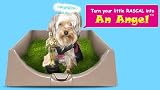 DOG LITTER BOX BY THE RASCAL DOG LITTER BOX COMPANY. AS SEEN ON DRAGON'S DEN .......